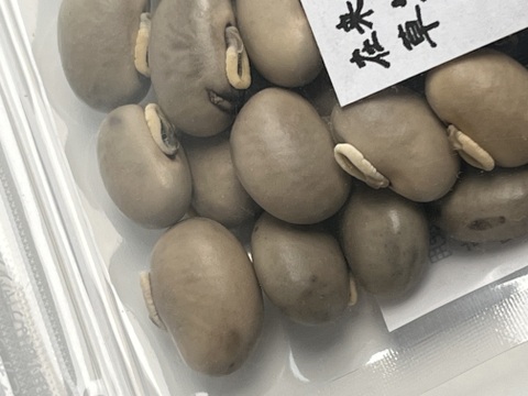 ムクナ豆 3kg 無肥料/農薬不使用/自然栽培 2024年12月収穫 三重県産 糸島産】無農薬・無化学肥料 ムクナ豆100g - メルカリ