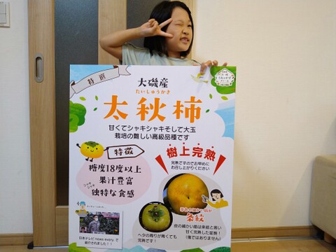 【お買い得】大磯産『太秋柿』10～15個入り（訳あり 約4kg）