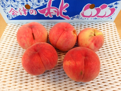 【訳ありB品】お買い得！品種おまかせ　大箱13〜16玉（約４.５kg）【7月15日頃〜8月10日頃まで販売】