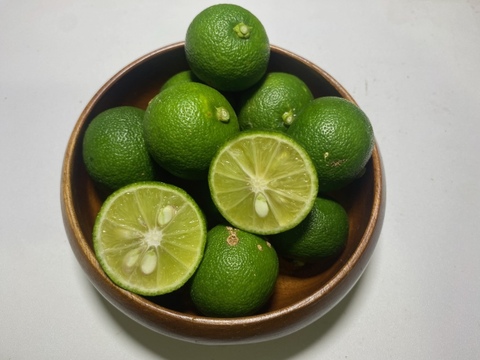 【特別なお裾分け】 すだち 1Kg　感謝を込めた特別価格