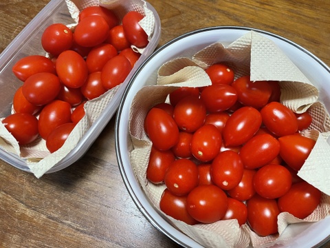 あま～いプチトマト（アイコ）がたっぷり1㎏入ります