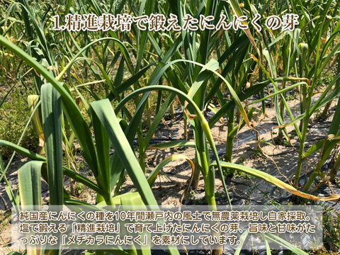 【ご贈答用誂え】ご飯にお酒にお肉に！国産にんにくの芽甘煮「瀬戸内にんにく物語 五郎右衛門」