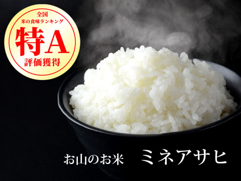 【在庫処分セール】「特A」極上米 ミネアサヒ 令和7年産 2kg 化学肥料不使用 農薬節減栽培 白米 玄米 八分づき ギフト対応可
