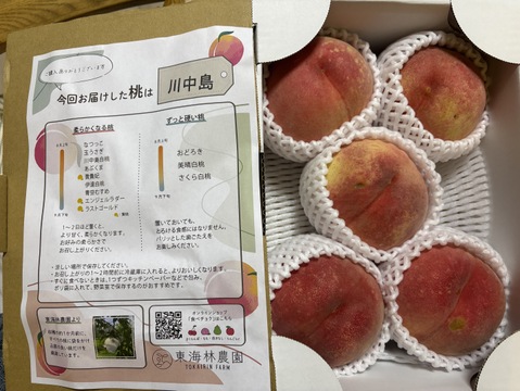 ご家庭用桃】品種おまかせ🍑2キロ🍑【追熟すると柔らかくなる桃