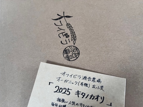 キタノカオリ 900g　オーガニック（有機）玄小麦 2025年産　※小麦粉じゃないよ