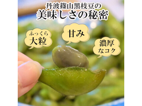 【数量限定】丹波篠山 黒枝豆 枝付き2㎏ 丹波篠山産 丹波 枝豆 もっちり 黒大豆 大粒 波部黒 丹波黒 高級 2kg 黒大豆枝豆 枝付き 贈答品 束 丹波篠山黒枝豆 枝豆 丹波 黒豆