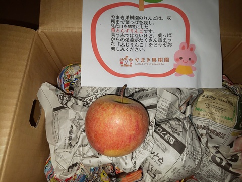 加工用に！山形高畠産葉取らずふじりんご🍎😋小玉や色薄いりんご🍎でも甘いです。ふじりんご5キロ箱バラ詰め😊