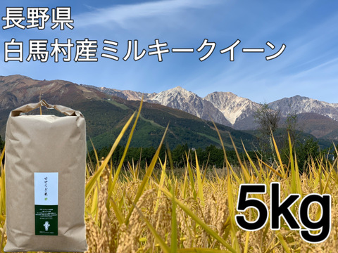 令和７年白馬産ミルキークイーン５ｋｇ