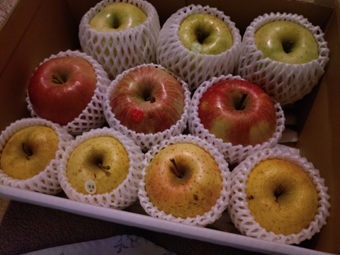 農薬半減・化学肥料不使用の特別栽培りんご3種食べ比べ🍎🍏 訳ありご家庭用 おまかせ3kg 青森県特別栽培認証取得 詰め合わせ　りんご食べ比べ