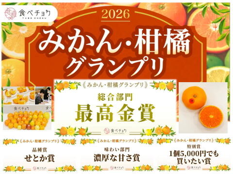 🏆みかん柑橘グランプリ2026最高金賞含む最多４部門受賞の木熟せとか！大感動！樹上完熟させた濃厚な甘みの大トロせとか！とろける甘さと上品な味わい！「木熟せとか」厳選プレミアム　約１ｋｇ【400】