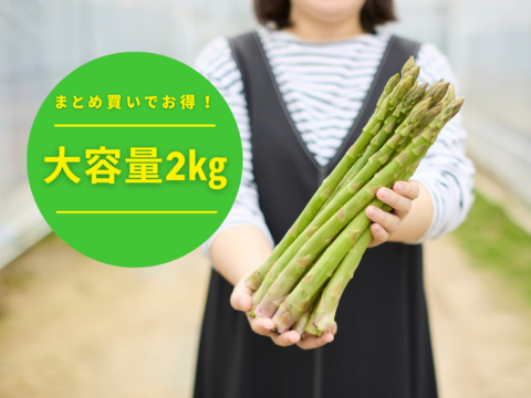 【大容量】🧑‍🌾青空レストラン出演🧑‍🌾『Mr.アスパラ』さぬきのめざめ2L/2㎏