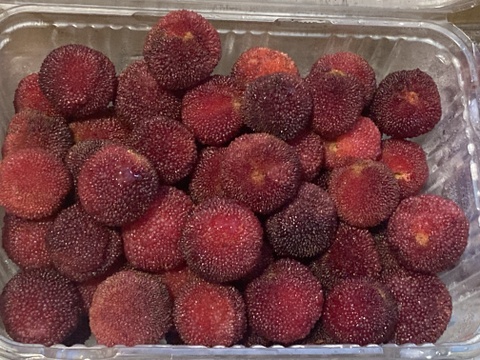 ★最終品！　自然栽培　ヤマモモ　1キロ～　秀峰　秀光　チルド便