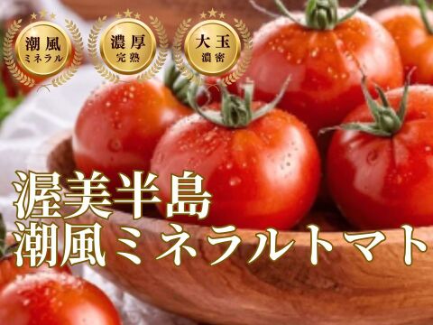 🍅5年連続日本一農業大国が誇る大自然トマト🍅ギリギリまで完熟させた甘い朝どれ濃厚大玉の潮風ミネラルトマト100年の伝統が生んだ奇跡の結晶『渥美半島ブランド』【1月下旬発送】