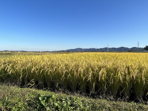 飯島農園のお米　30キロ（玄米）