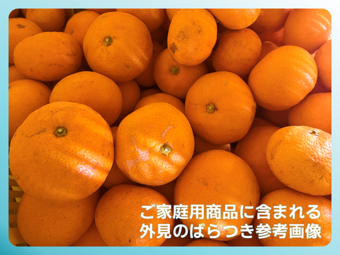 本物をお得に！ 木成り完熟🍊ご家庭用 有田みかん【サイズ混合・5kg箱】