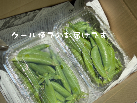 甘味の強い固定種野菜！『スナップエンドウ』 (400g)