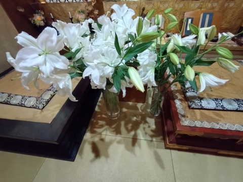【秋彼岸含みます】簡易包装■白ユリ５本束■年間50品種の中からその時におススメの子をお届けします♥