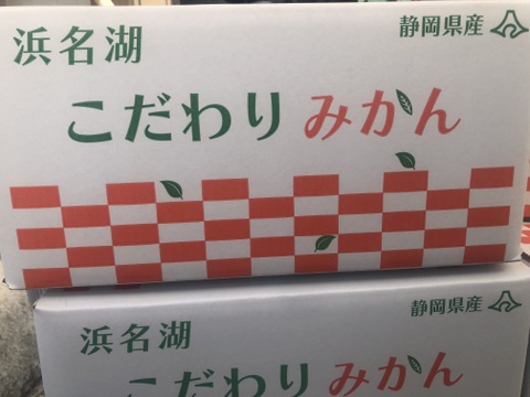 【静岡県】隠れた名品！濃厚な甘味とほどよい酸味！細江町の温州みかん（片山）8.0kg