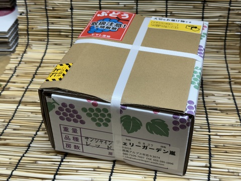 クール便ページ山梨県産シャインマスカット　10パック入り　箱込み約3.6kg クール便ページ山梨県産シャインマスカット 10パック入り 箱込み