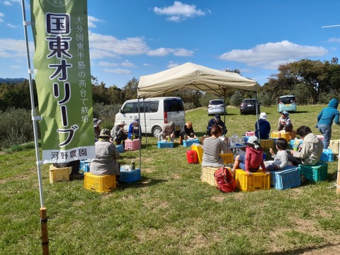 天空のエキストラバージンオリーブオイル(大分県国東市産）　１０５ｇ×１本