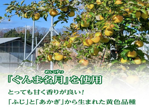 青森県産【ぐんま名月使用】ドライフルーツりんご「木の実　実のまま」50ｇ×1袋