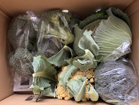 食べてみりん🥦🥬セット