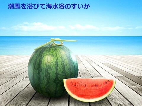 予約受付】甘～い尾花沢大玉夏すいか L x1玉 (羅王ザ