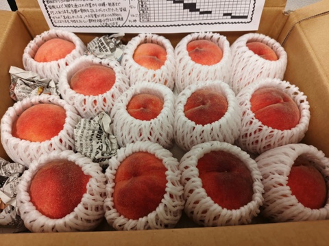 【リピ割】夏姫様 【自宅用あかつき3kg 約8-12個】2箱 リピ割】夏姫様 【自宅用あかつき3kg 約8-12個】2箱 桃 あかつき 3Kg