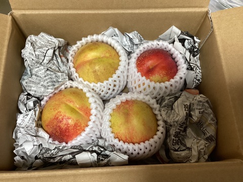 濃厚スイートビーナス　ご家庭用Ｂ品（約1㎏）