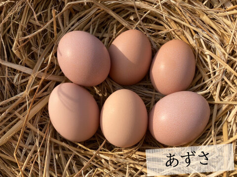 御歳暮［平飼い卵「あずさ」 1パック +「バラエティパック」 1パック +特別栽培米「ヒノヒカリ」2㎏ ］223EGG 冬ギフト【新米・令和5年産】