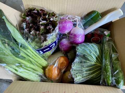 【たくあん2個入】畑より採りたて直送！野菜セット Ｂ（8品）