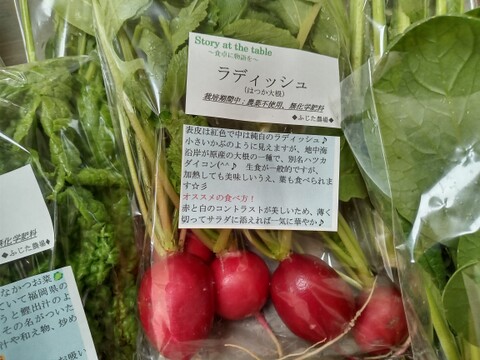 季節の野菜セット『採れTakara☆彡』11品前後