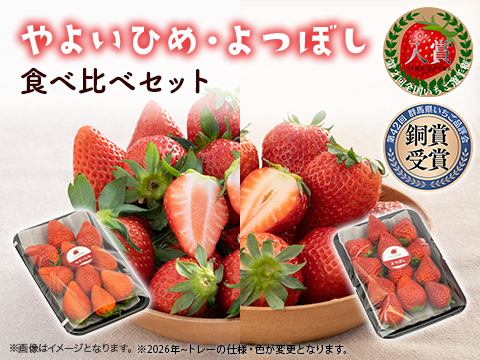 2パック｜贅沢いちごの食べ比べ！やよいひめ・よつぼしセット500g