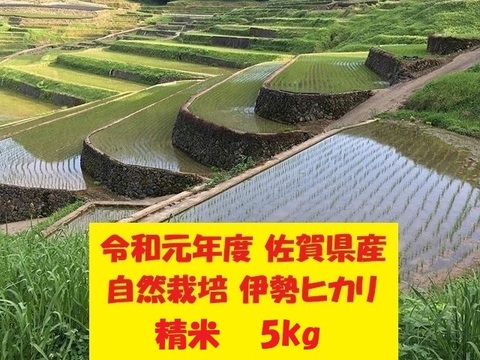 【令和元年新米】無農薬!自然栽培!佐賀県産!「伊勢ヒカリ」精米5kg