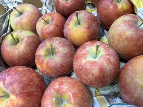 採れたてシナノリップ🍎信州産りんご(約3.5kg)バラ詰めりんご