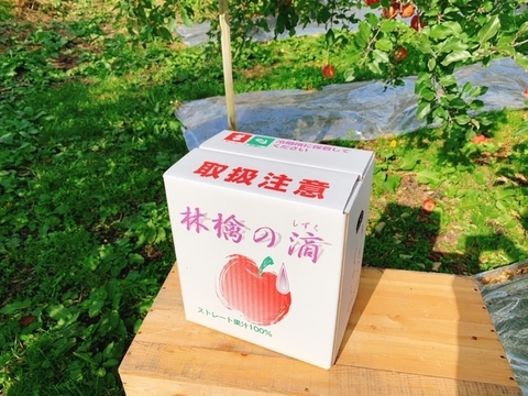 【11ぴきのねこラベル】 丸末のりんごジュース １L × 6本セット