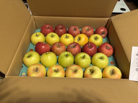 ★選べる４種★オールスター小玉🍎🍏💛💚家庭用約4.5Kg　食べ比べ　サンふじ　王林　シナノゴールド　ぐんま名月　青森県産　数量限定　４種の中から選べる　好きな数　好きな種類