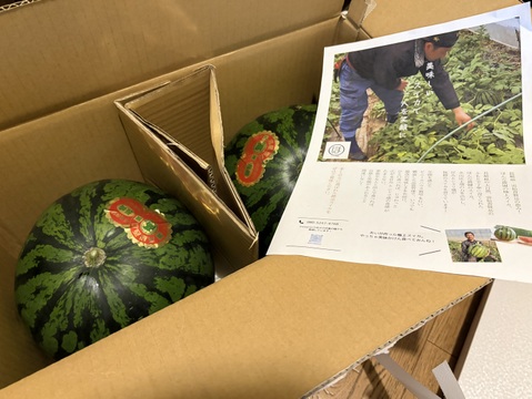 この時期に珍しい！「冬スイカ」約5キロ×２個🍉