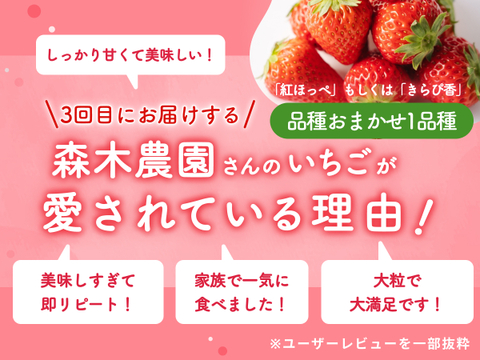 【限定100セット】こだわりいちご便🍓（食べチョク公式）