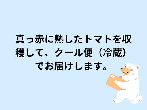 【クール便】【食べ応え抜群‼️】肉厚で美味しさがギュッと詰まった！フルティカ（4キロ）