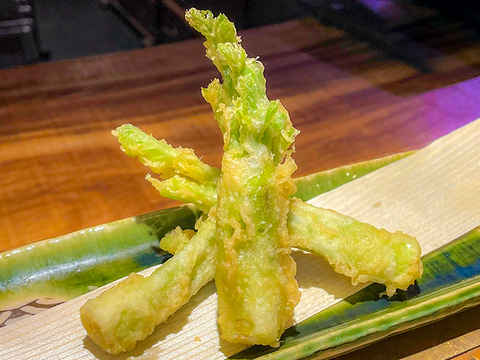【今が旬】 原木収穫 タラの芽 宮城県産 西根の森 タラの芽 (100g×3)