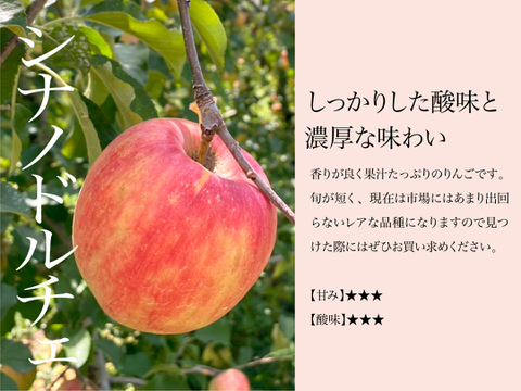 【2026年予約】『シナノドルチェ』 家庭用✨ 甘みと酸味の絶妙なバランス　5ｋｇ