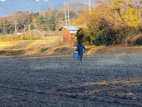 令和6年産 特別栽培米 ササニシキ「うみ幸やま幸」10kg 精米(玄米、3・5・7ぶつき) みえの安心食材認定