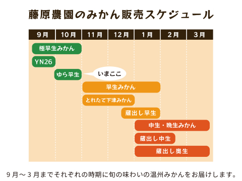 ゆら早生（みかん）5kg家庭用｜和歌山生まれの極早生みかんの最高傑作