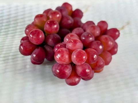 ☆希少品種食べ比べ　粒☆
☆サンシャインレッド、富士の輝、スカーレット、クイーンニーナ、マスカ・サーティーン、マイハート、シャインマスカット、マスカットノワールなど
☆発送期間：9月20日～9月27日