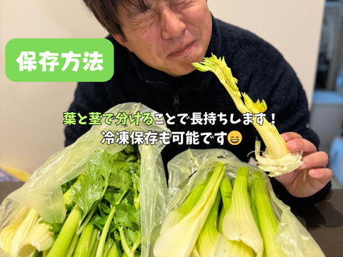 もうスーパーには戻れない！？本物のセロリ！