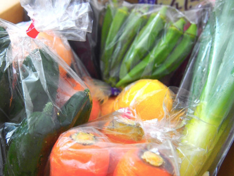 2〜4名様向け野菜セット／旬の野菜7種：千葉県産の野菜セット