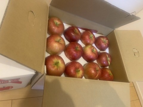 じゅわっと甘い！シナノスイート10Kg箱・22個～28個【ご家庭用・キズ】