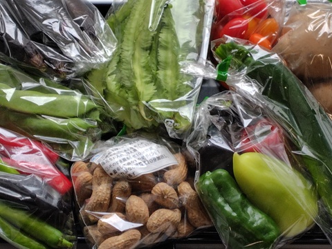 【旬のお勧め野菜セット】＊6品目以上～農薬/化学肥料・不使用