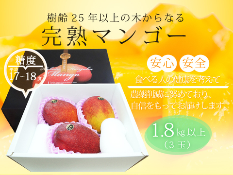 【食べチョク限定】樹齢25年以上の木からなる糖度約17～18度の完熟マンゴー（3玉：約1800g）【熨斗可能】【夏ギフト】【お中元】